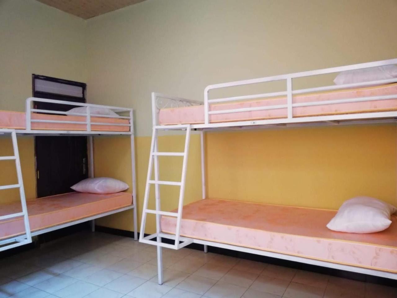 Gondar Backpackers 호스텔 외부 사진
